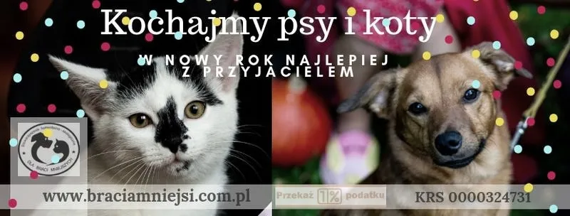 Magia noworocznych życzeń zawarta w wierszach