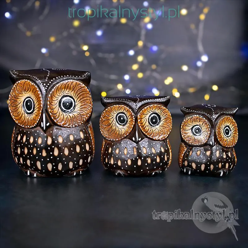 Odkryj piękno wiersza o sowach w klasie 2