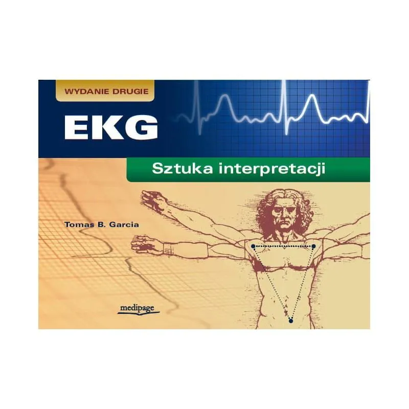 Analiza poezji i metafor