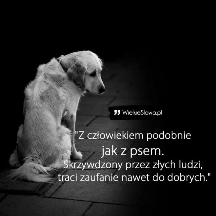 Budowanie zaufania w trudnych czasach