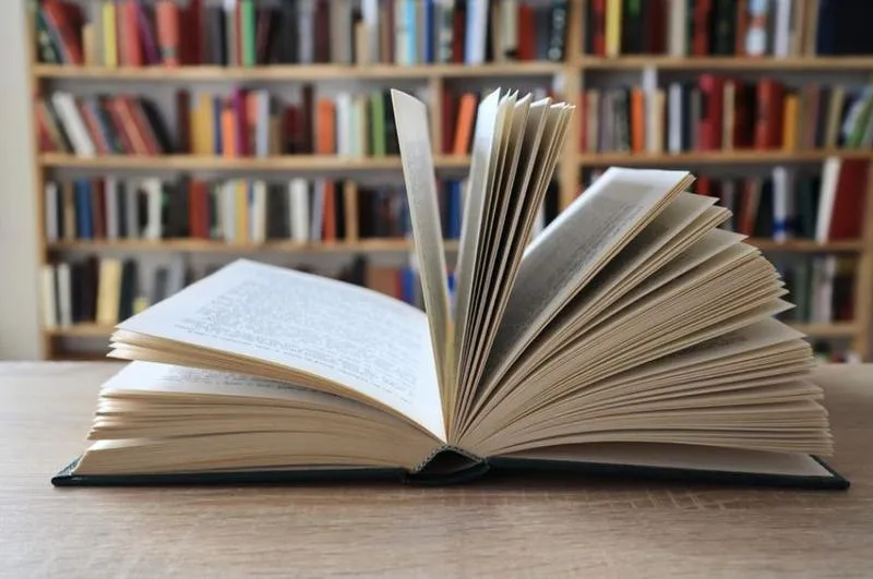 Emocje i identyfikacja z bohaterami