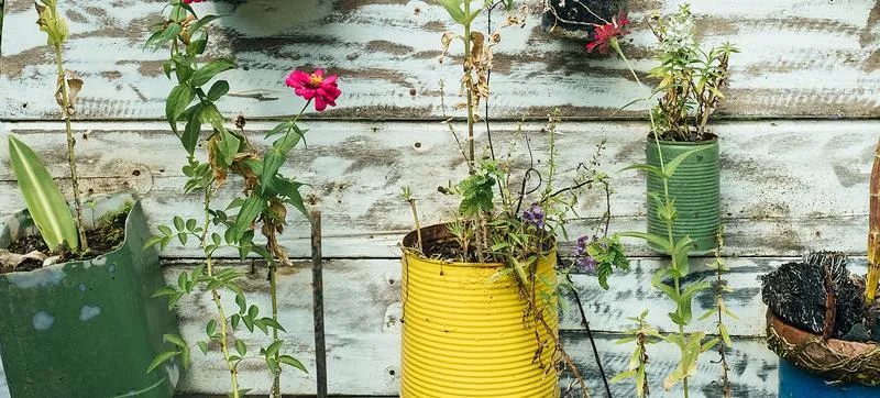 Kreatywna edukacja polonistyczna