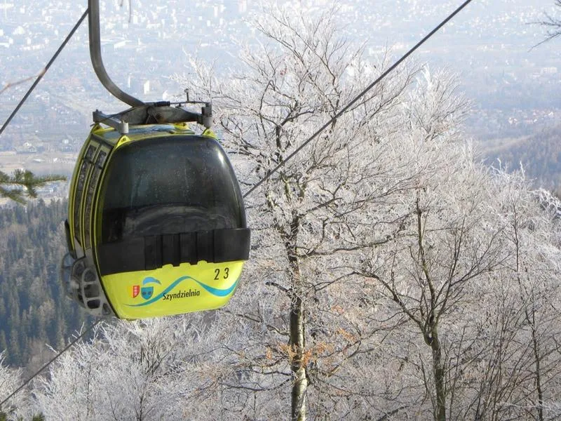 Urok zimy i poetyckie refleksje