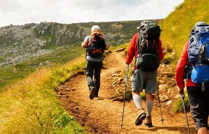 Wyprawy górskie i wędrówki